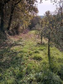 Terreno panoramico collinare