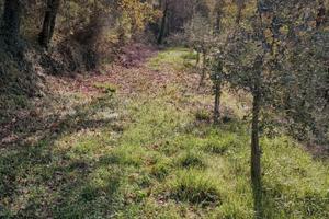 Terreno panoramico collinare