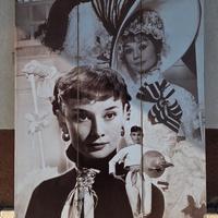 Paravento separe con design Audrey Hepburn