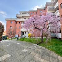 MONOLOCALE A LAINATE