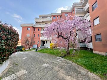 MONOLOCALE A LAINATE