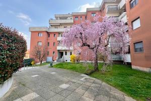 MONOLOCALE A LAINATE