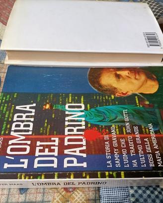 Maas Giannuli Mccarthy Boyer Lagorio e altri