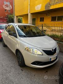 lancia y