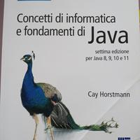 Concetti di Informatica e Fondamenti di JAVA