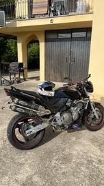 Scarico shark honda hornet 600