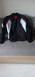 giubbino dainese