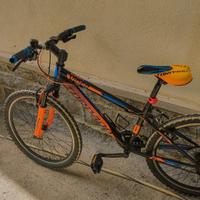 Mountain bike 24