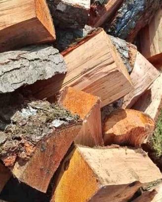 legna da ardere secca