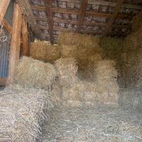 Ballette paglia 1,50 euro e fieno 3