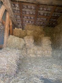 Ballette paglia 1,50 euro e fieno 3