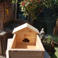 casetta per tartaruga 