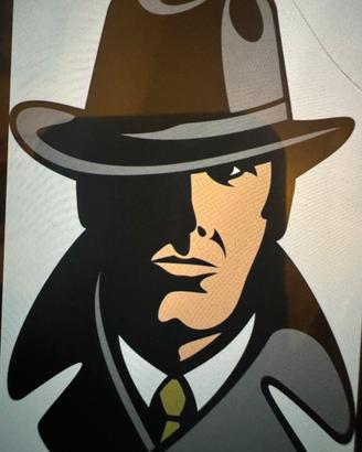 Investigatore privato
