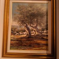 Dipinto Olio su Tela – Ulivi Secolari del Mediterr