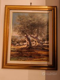 Dipinto Olio su Tela – Ulivi Secolari del Mediterr