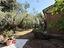 Immagine 27
