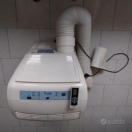 Condizionatore portatile Pinguino