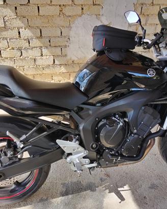 Yamaha fz6 2005