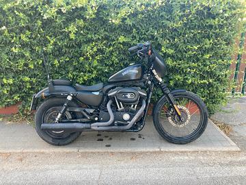 harley davidson 883 iron
