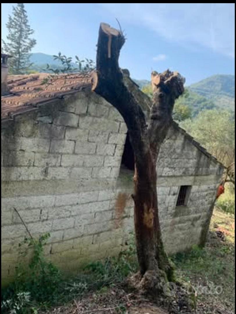 Rudere con terreno - Vista 2