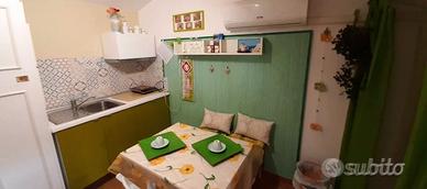 FIUMICINO BILOCALE ARREDATO Con BALCONE