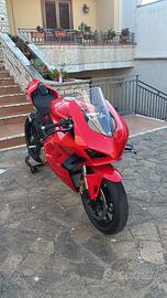 Panigale v4 2024