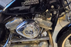 HARLEY-DAVIDSON 883 Sportster XL 883