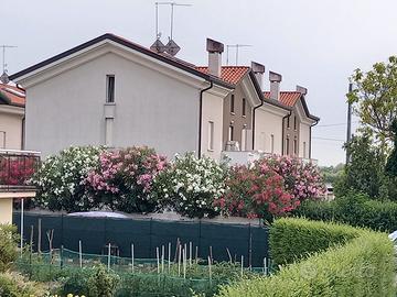 Vendita villetta a schiera