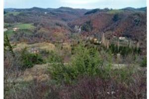 RGE 27/2022 - Tribunale di Urbino - Lotto 4