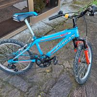 Bicicletta bambino 20