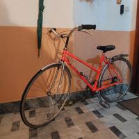 bicicletta