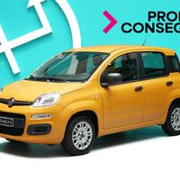 FIAT Panda 1.2 Pop - NEOPATENTATI