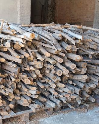 legna e attrezzature da taglio 