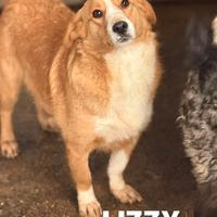 LIZZY, la nanetta più dolce del mondo