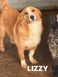 LIZZY, la nanetta più dolce del mondo