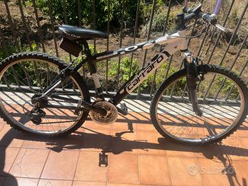 Bicicletta  Carraro 