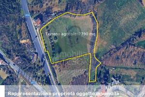 Seminativo a Verucchio