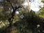 Immagine 7