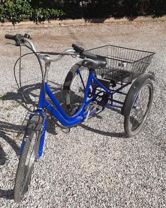 triciclo elettrico per adulti 
