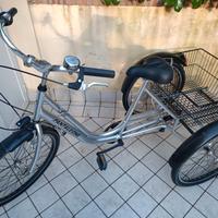 Triciclo grigio Panteleone - 24" - come nuovo