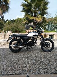 Mash Seventy Five 125