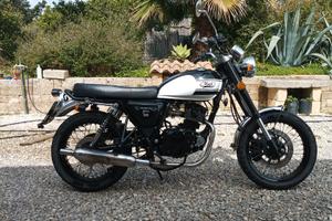 Mash Seventy Five 125