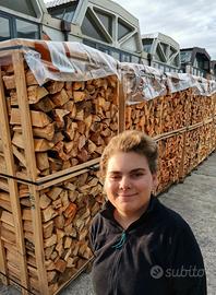 Legna 100x100 faggio