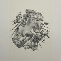 Salvador Dalì - la scultura - cm 70x50