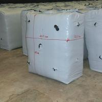 Panetti x produzione funfhi