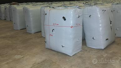 Panetti x produzione funfhi