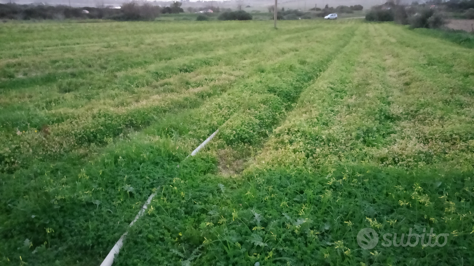 Terreno agricolo Località Su Stangioni - Vista 2
