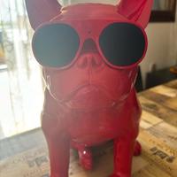 AeroBull XS1 è un altoparlante wireless Bluetooth