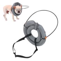 collare per cani ipovedenti