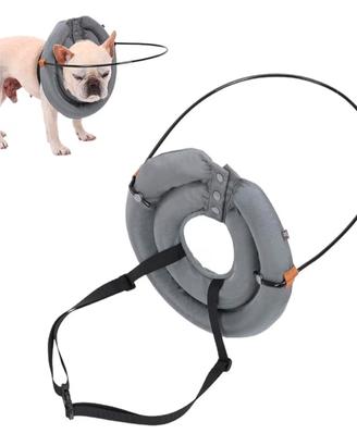 collare per cani ipovedenti